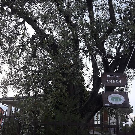 B&B Rosa Del Garda Lazise Luaran gambar
