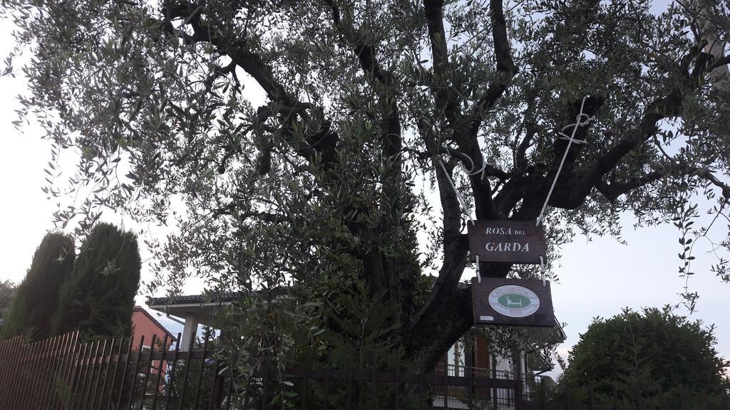 B&B Rosa Del Garda Lazise Luaran gambar